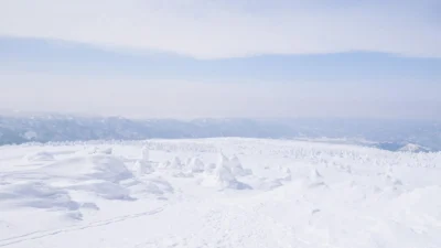 山形
