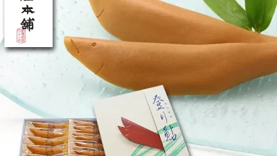岐阜県出身の親戚や友達に会いに行く時の手土産を選ぶ