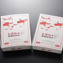 宇都宮餃子