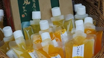 愛媛県出身の親戚や友達に会いに行く時の手土産を選ぶ