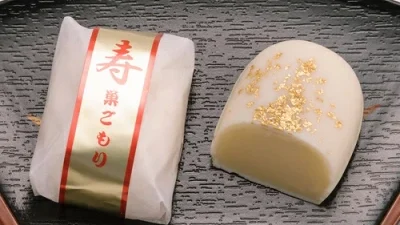 長野県出身の親戚や友達に会いに行く時の手土産を選ぶ
