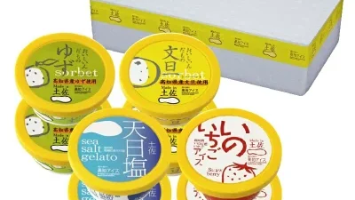 高知県出身の親戚や友達に会いに行く時の手土産を選ぶ