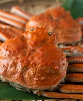 000000001034_MMoTxLX