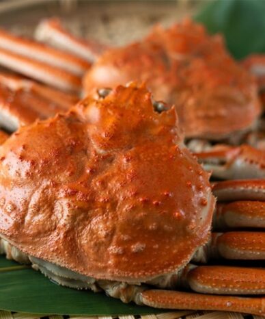 000000001034_MMoTxLX