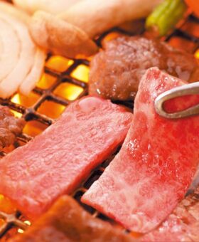 000000001401_sTro6HV